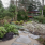 UNC Botanical Gardens